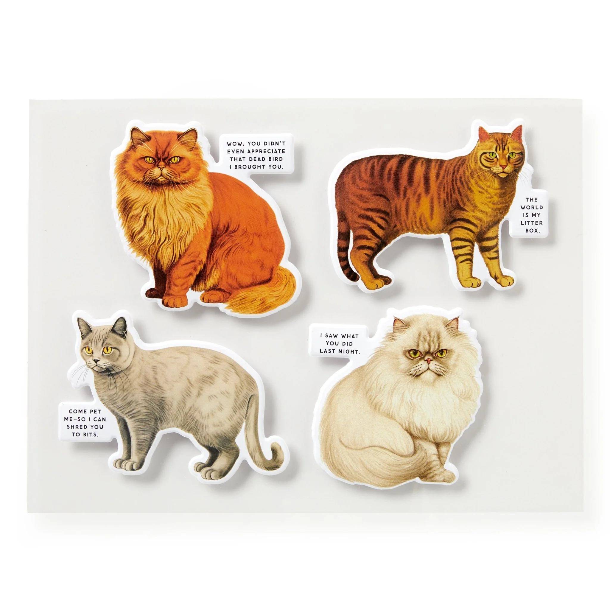 Moody Cats 1000 Piece Puzzle - Image 5