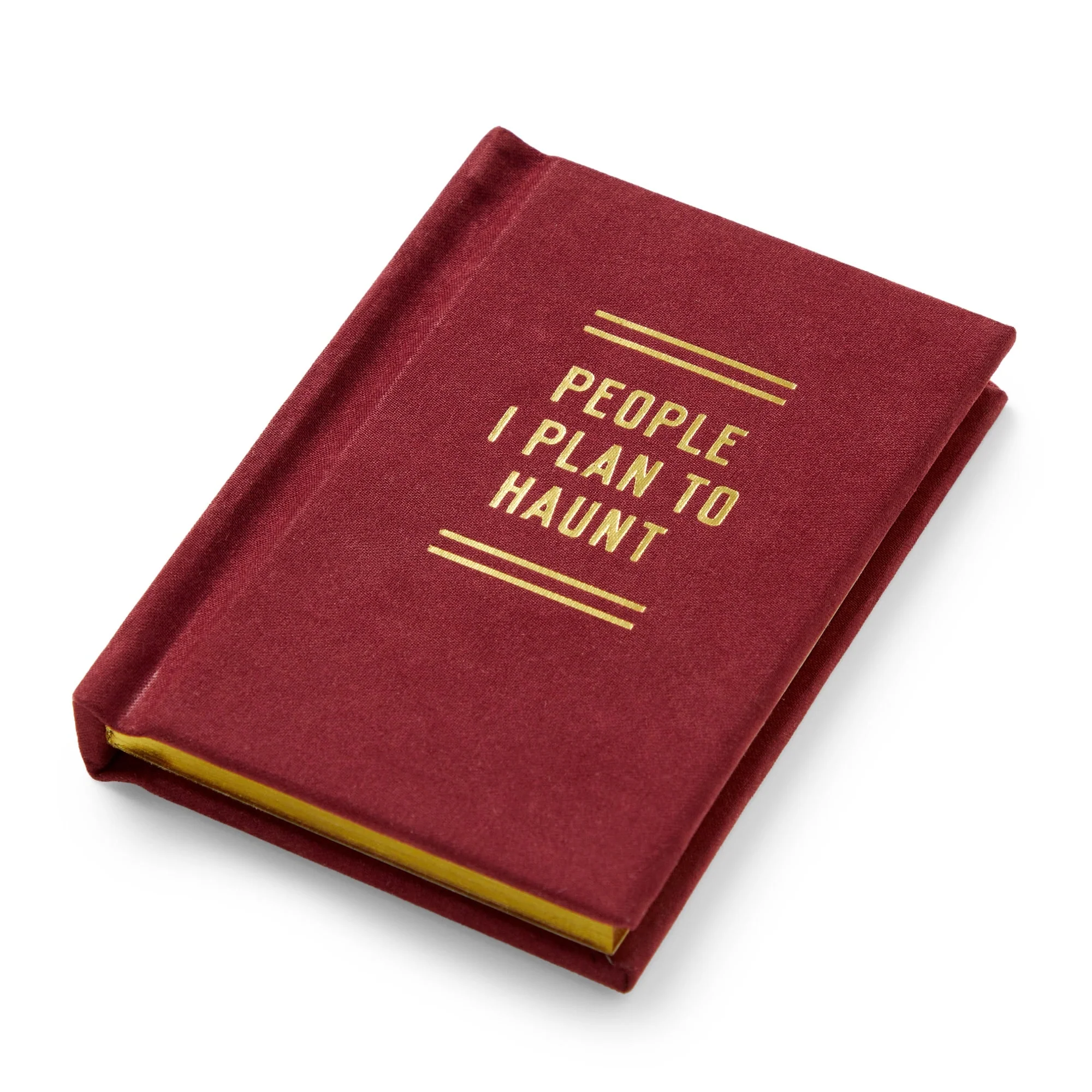 People I Plan To Haunt Tiny Diary - Image 5
