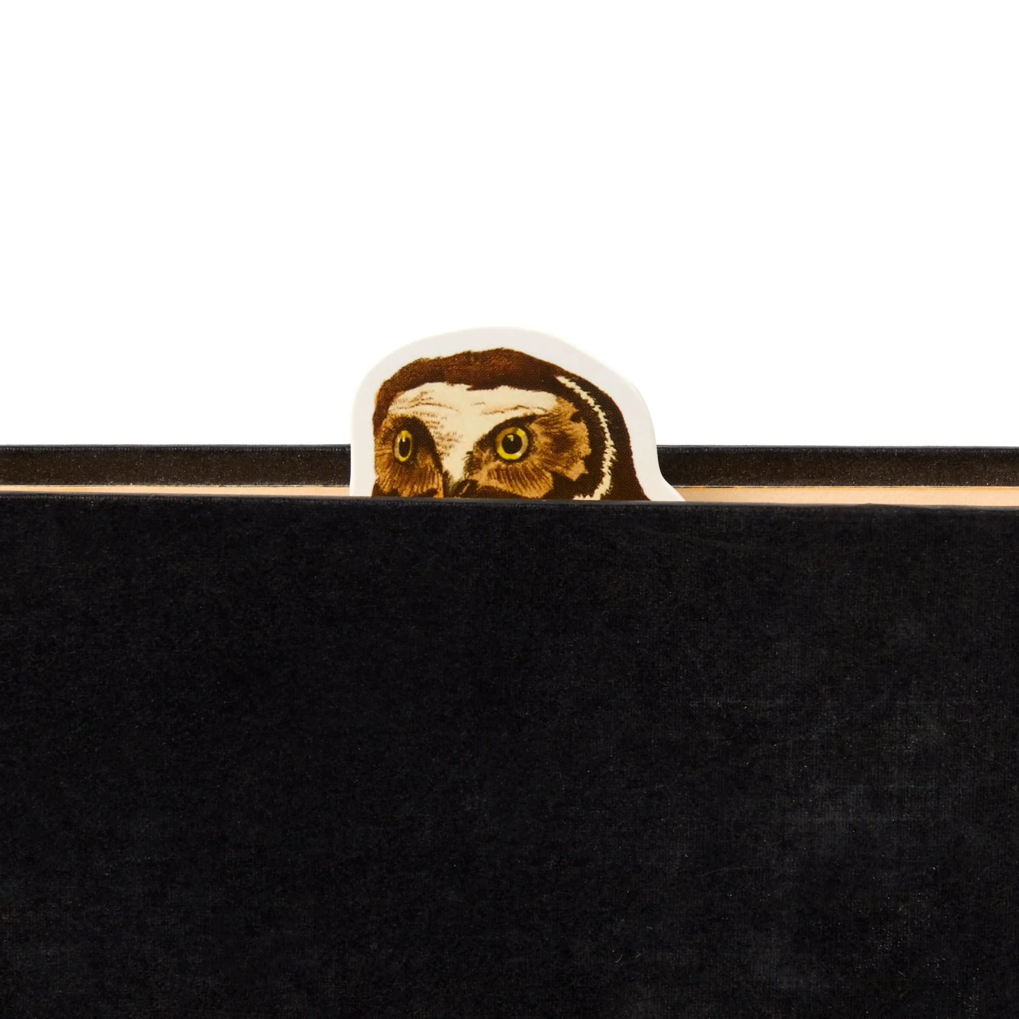 Salty Birds Magnetic Bookmark Set - Image 6